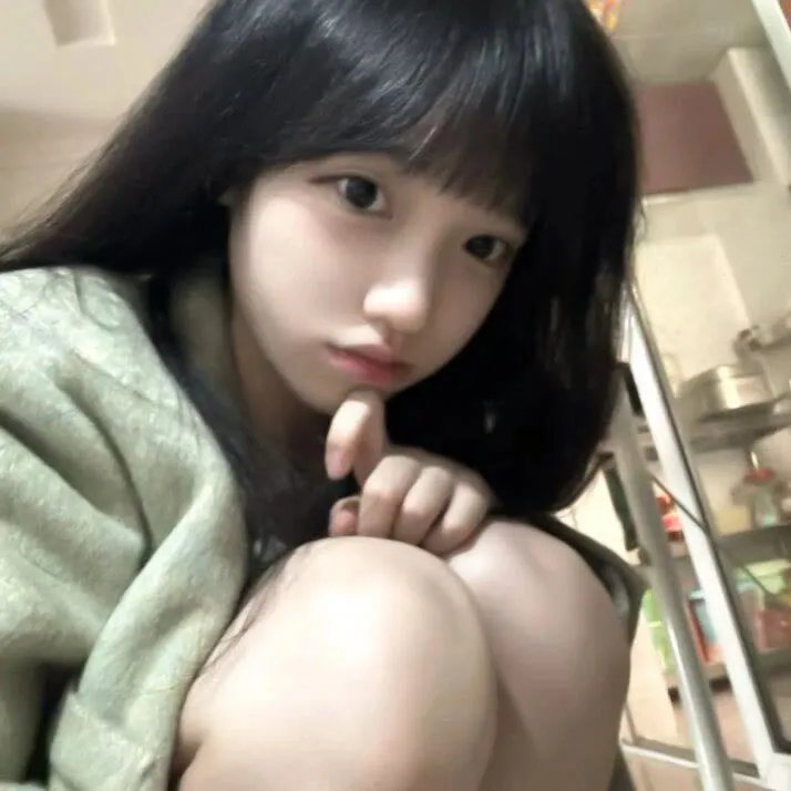 星际狗狗